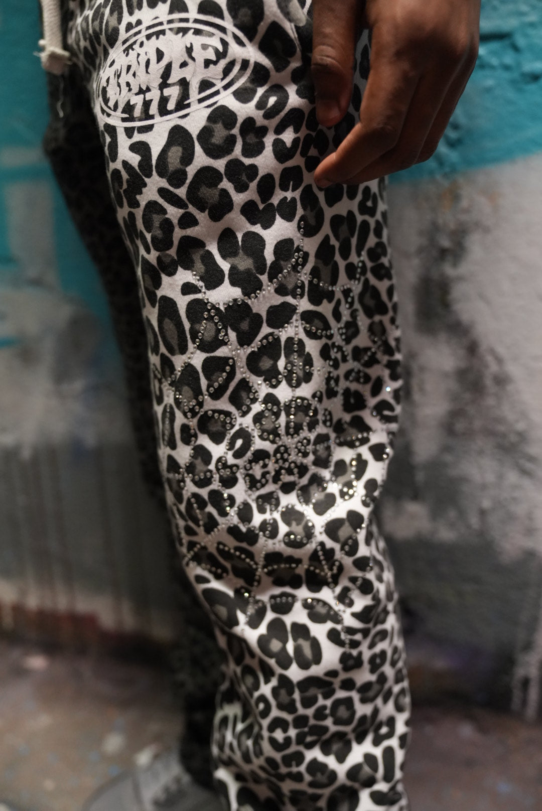 Cheetah Print Logo Set